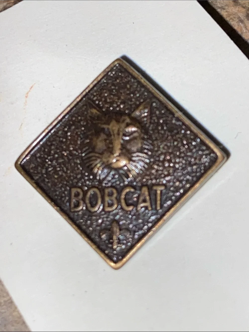 5/$10❤️❤️❤️Vintage BOBCAT BOY-SCOUTS Bronze Tone Pin